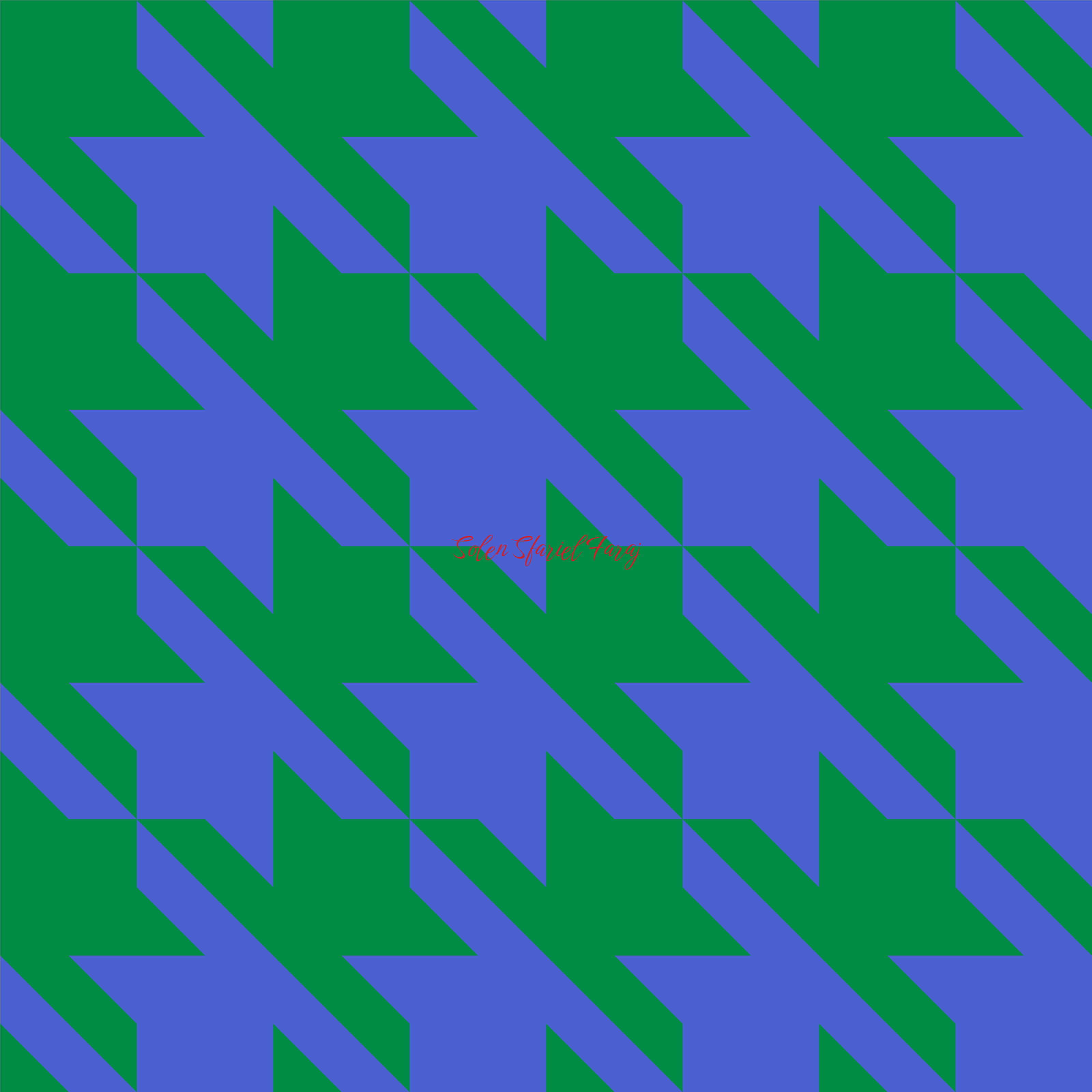 solen_sfariel_faraj_houndstooth_sole image